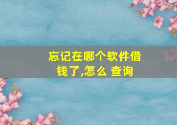 忘记在哪个软件借钱了,怎么 查询